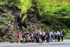 IMG_20260605_120427